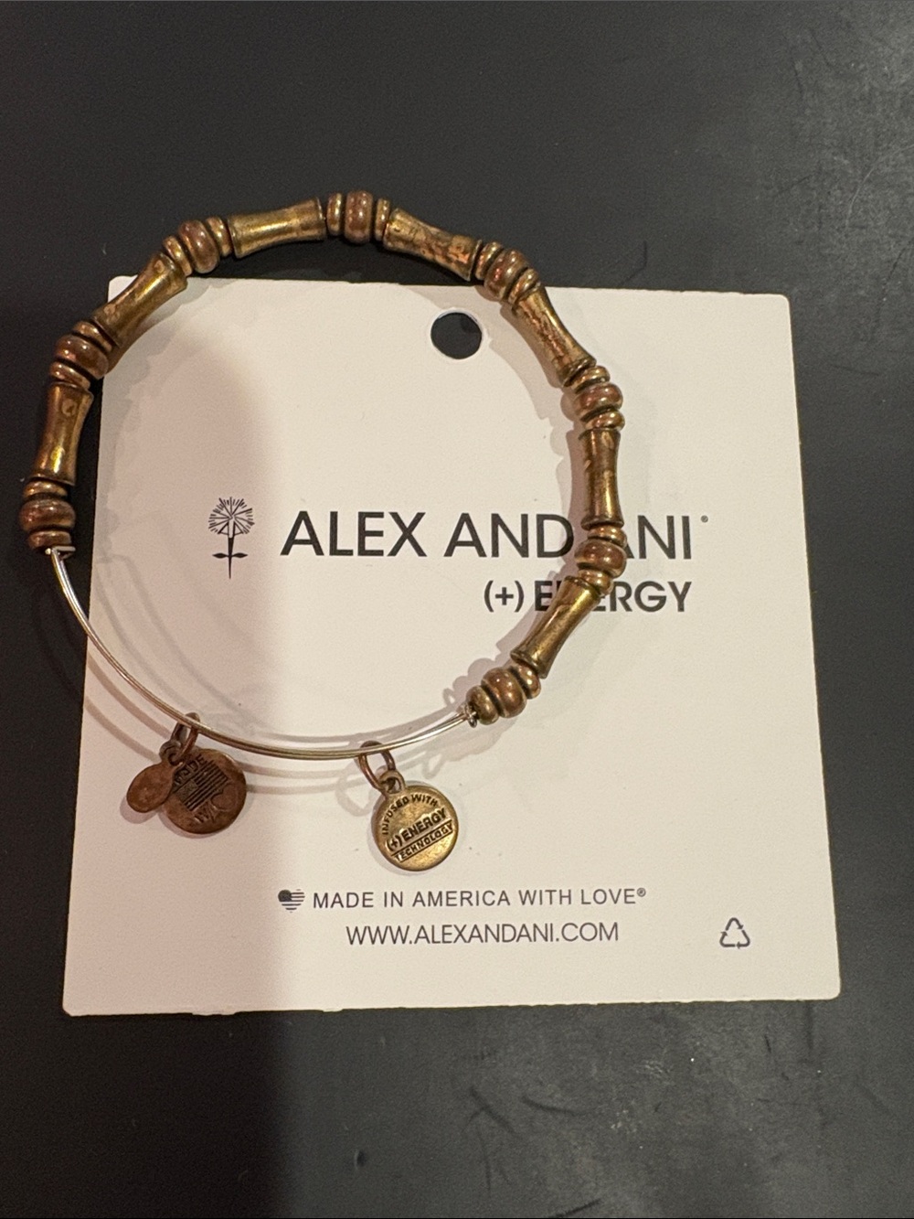Alex and Ani Gold-Tone Bamboo Style Expandable Bracelet